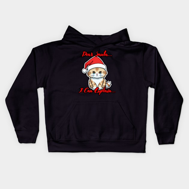 Dear Santa I Can Explain Kids Hoodie by MaystarUniverse